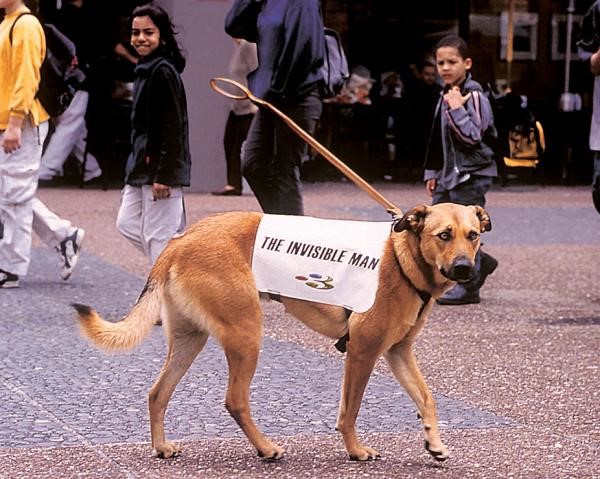 television-programme-invisible-man-dog-small-11848